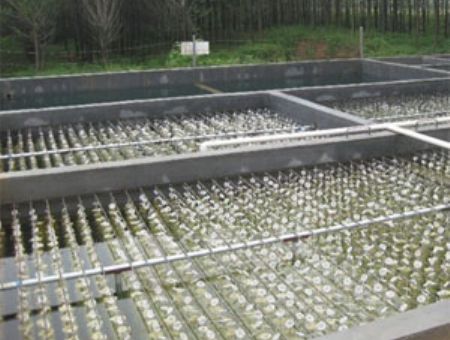 點擊查看詳細信息<br>標題：養殖污水處理 閱讀次數：5048